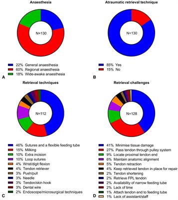 Current clinical opinion on surgical approaches and rehabilitation of hand flexor tendon injury—a questionnaire study